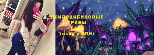прущая мука Зеленодольск