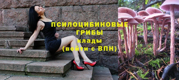прущая мука Зеленодольск