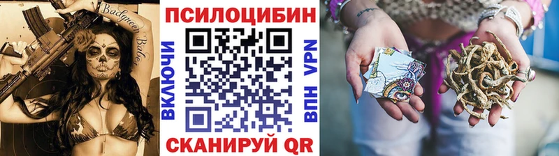 закладка  Ишимбай  Псилоцибиновые грибы Cubensis 