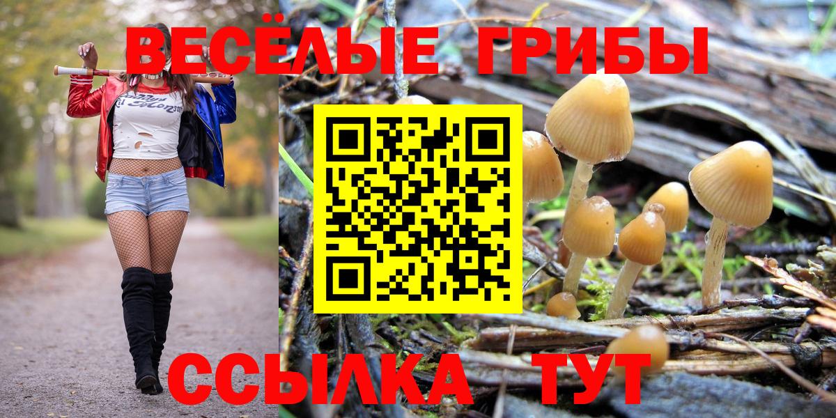 Псилоцибиновые грибы Psilocybe  Вход с VPN  Ишимбай 